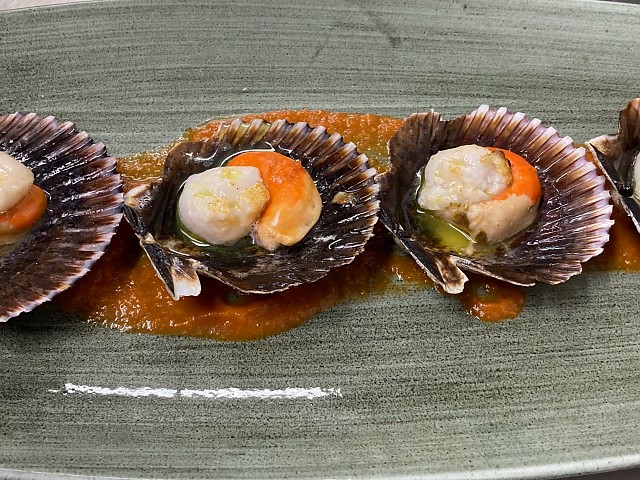 Scallops 