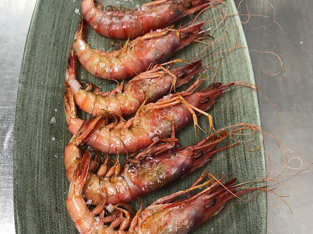 Gamba Roja